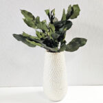 A bunch of green Lemon leaf Salal in a tall vase