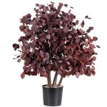 A red preserved populus bush, one metre tall in a black pot