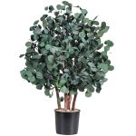 A one metre preserved populus bush in a black pot
