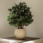 A preserved Populus bush in a decorative planter on a table
