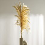 A stem of off white preserved pampus grass in a vase.