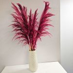 A bunch of 10 stems of deep pink preserved Pampas grass in a tall vase
