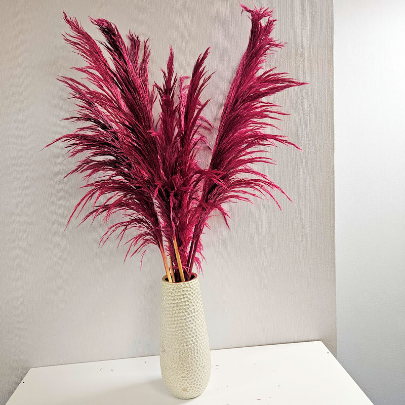A bunch of 10 stems of deep pink preserved Pampas grass in a tall vase
