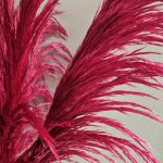 Aclose up of deep pink preserved Pampas grass
