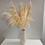 10 stems of off white Pampus grass in a tall vase